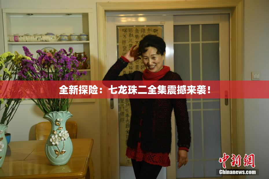 全新探险：七龙珠二全集震撼来袭！