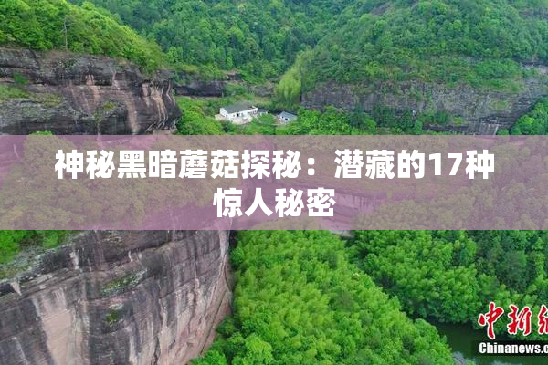 神秘黑暗蘑菇探秘：潜藏的17种惊人秘密