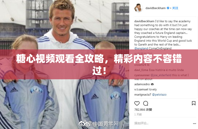 糖心视频观看全攻略，精彩内容不容错过！