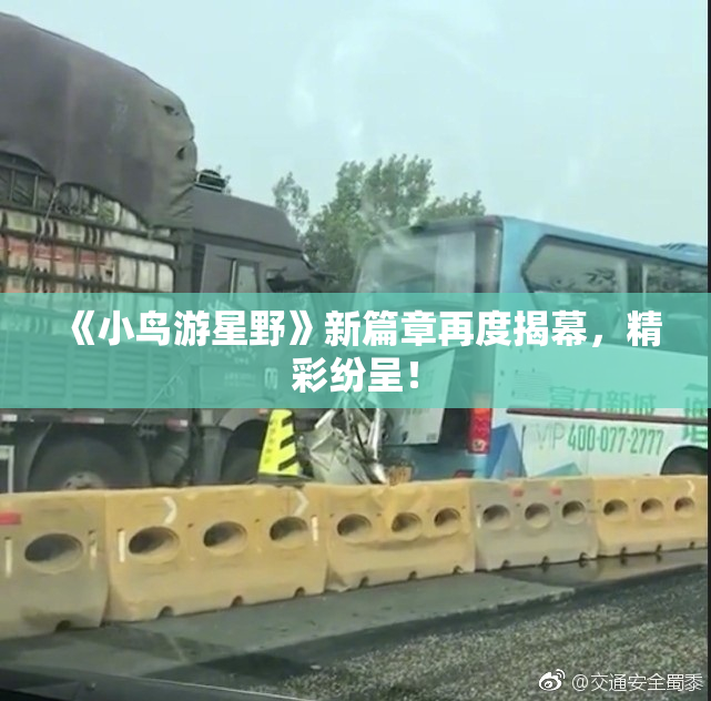 《小鸟游星野》新篇章再度揭幕，精彩纷呈！