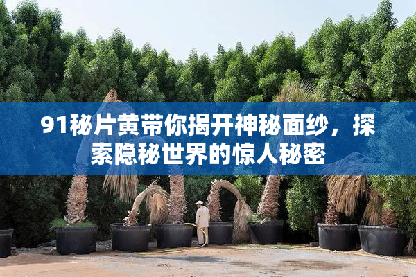 91秘片黄带你揭开神秘面纱，探索隐秘世界的惊人秘密