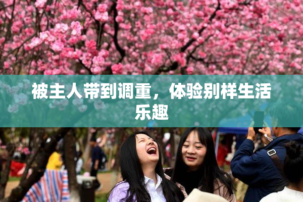 被主人带到调重，体验别样生活乐趣