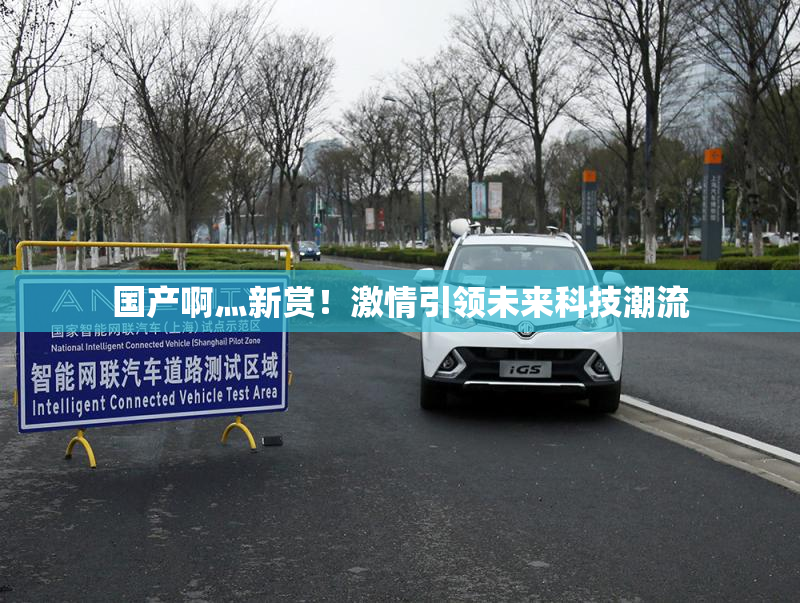 国产啊灬新赏！激情引领未来科技潮流