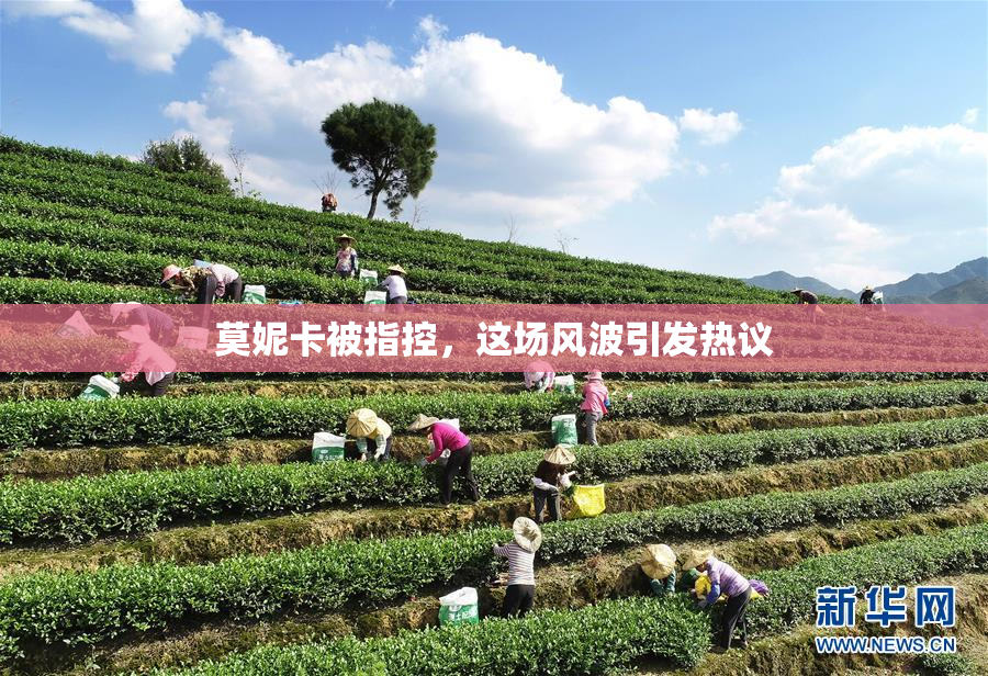莫妮卡被指控，这场风波引发热议
