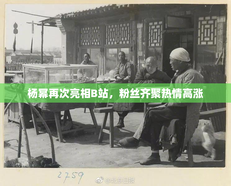 杨幂再次亮相B站，粉丝齐聚热情高涨