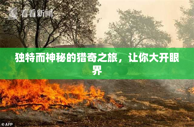 独特而神秘的猎奇之旅，让你大开眼界