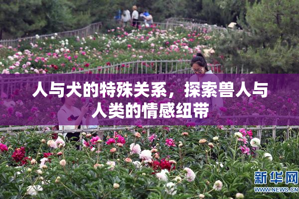 人与犬的特殊关系，探索兽人与人类的情感纽带