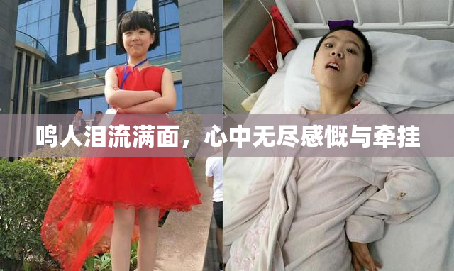 鸣人泪流满面，心中无尽感慨与牵挂