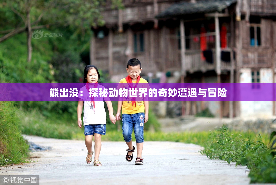熊出没：探秘动物世界的奇妙遭遇与冒险