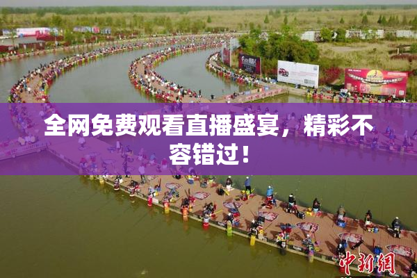全网免费观看直播盛宴，精彩不容错过！