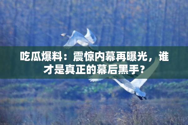 吃瓜爆料：震惊内幕再曝光，谁才是真正的幕后黑手？