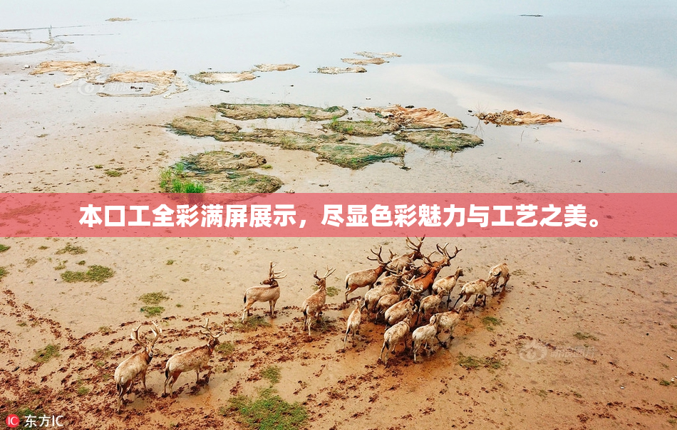 本口工全彩满屏展示，尽显色彩魅力与工艺之美。
