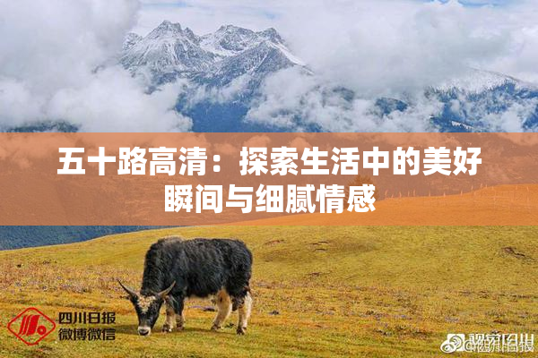 五十路高清：探索生活中的美好瞬间与细腻情感