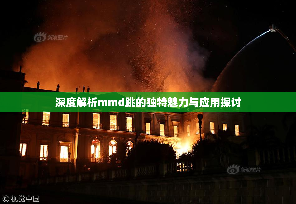 深度解析mmd跳的独特魅力与应用探讨