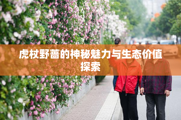 虎杖野蔷的神秘魅力与生态价值探索