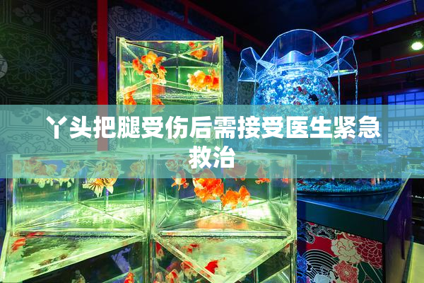 丫头把腿受伤后需接受医生紧急救治