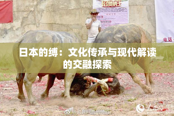 日本的缚：文化传承与现代解读的交融探索