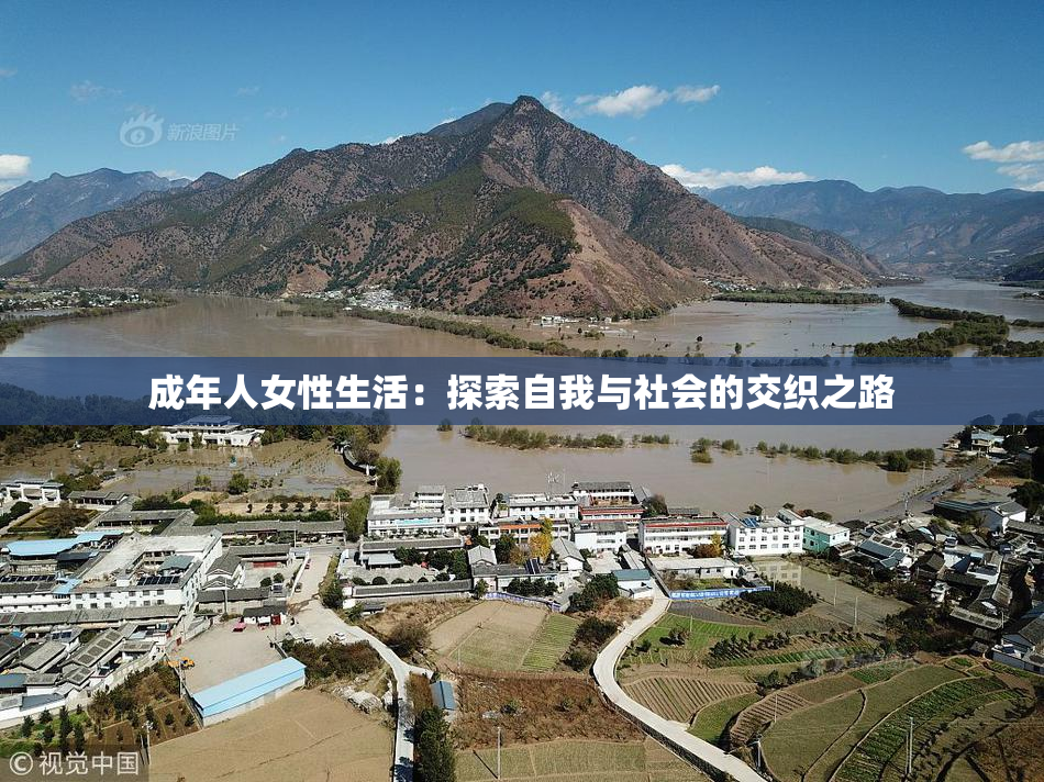 成年人女性生活：探索自我与社会的交织之路