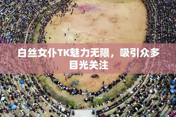 白丝女仆TK魅力无限，吸引众多目光关注