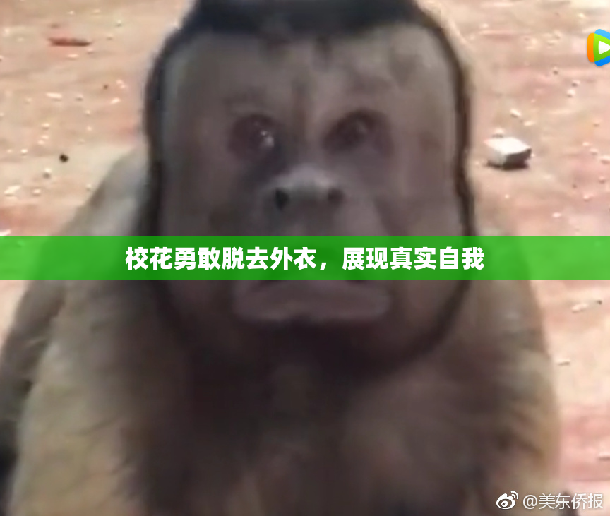 校花勇敢脱去外衣，展现真实自我