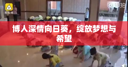 博人深情向日葵，绽放梦想与希望