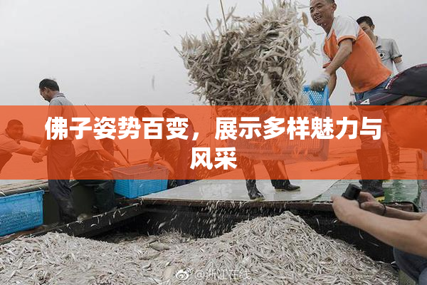 佛子姿势百变，展示多样魅力与风采