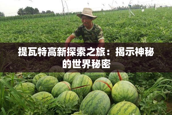 提瓦特高新探索之旅：揭示神秘的世界秘密