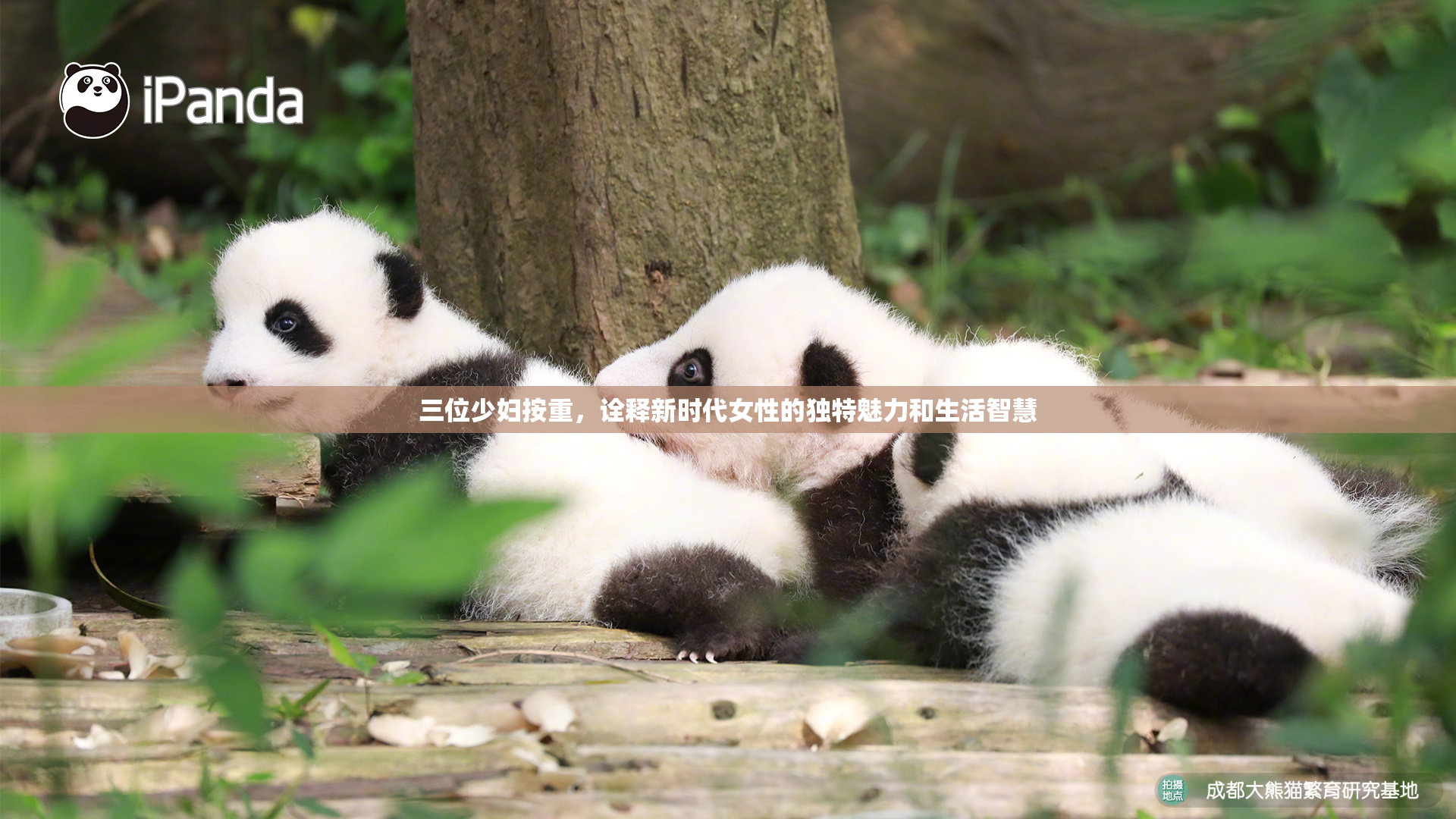 三位少妇按重，诠释新时代女性的独特魅力和生活智慧