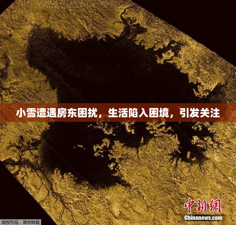 小雪遭遇房东困扰，生活陷入困境，引发关注