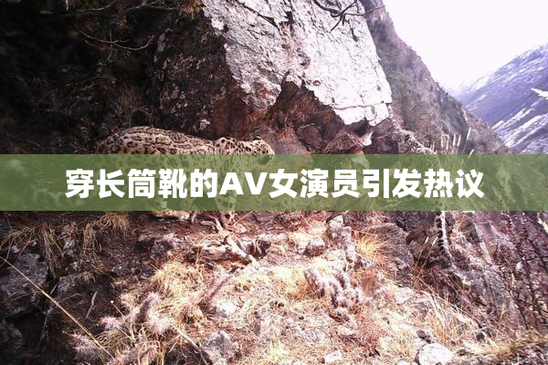 穿长筒靴的AV女演员引发热议