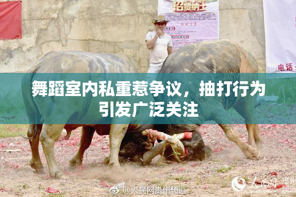 舞蹈室内私重惹争议，抽打行为引发广泛关注