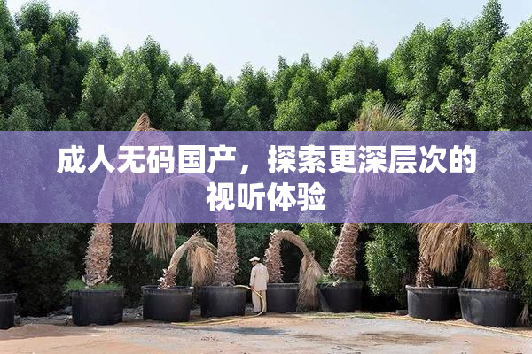 成人无码国产，探索更深层次的视听体验