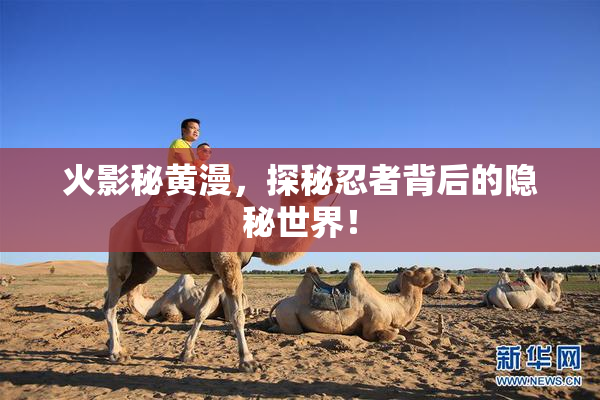 火影秘黄漫，探秘忍者背后的隐秘世界！