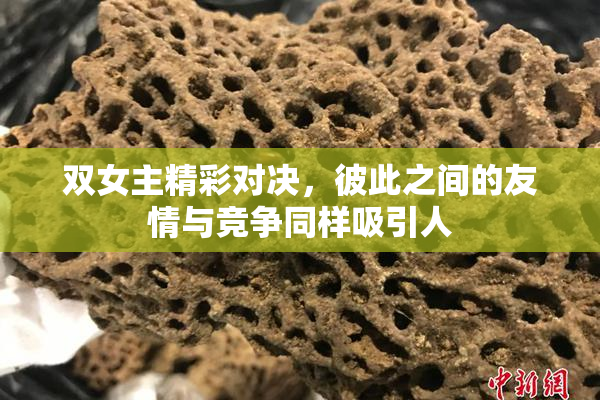 双女主精彩对决，彼此之间的友情与竞争同样吸引人