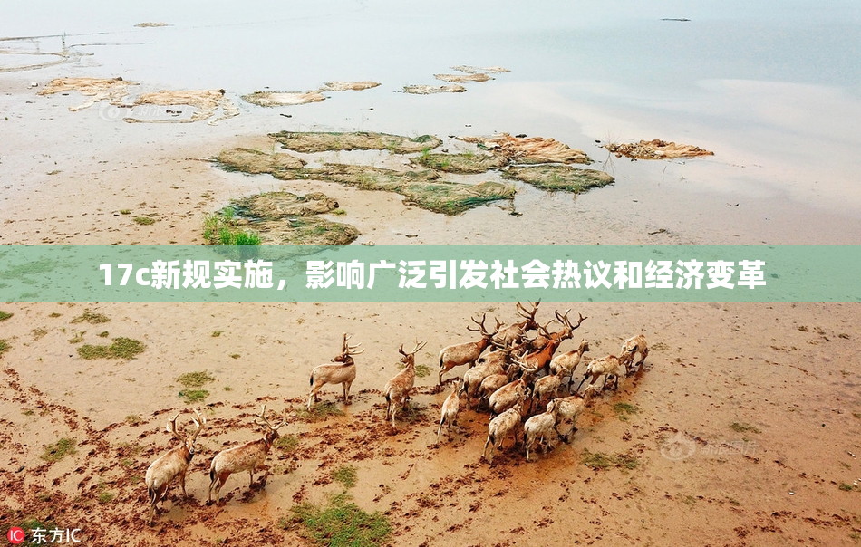 17c新规实施，影响广泛引发社会热议和经济变革