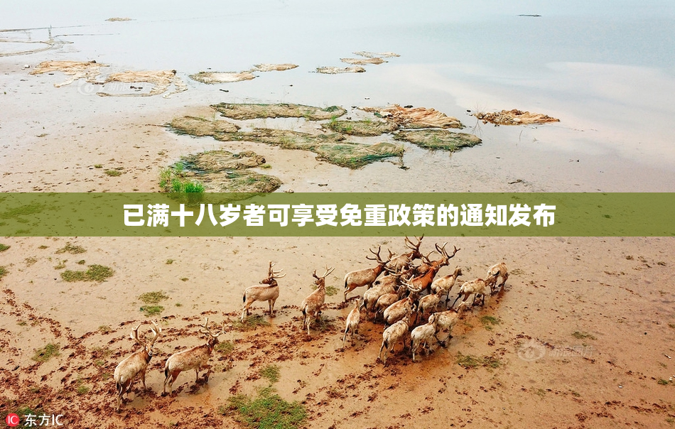 已满十八岁者可享受免重政策的通知发布