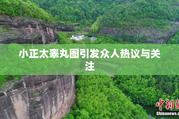 小正太睾丸图引发众人热议与关注