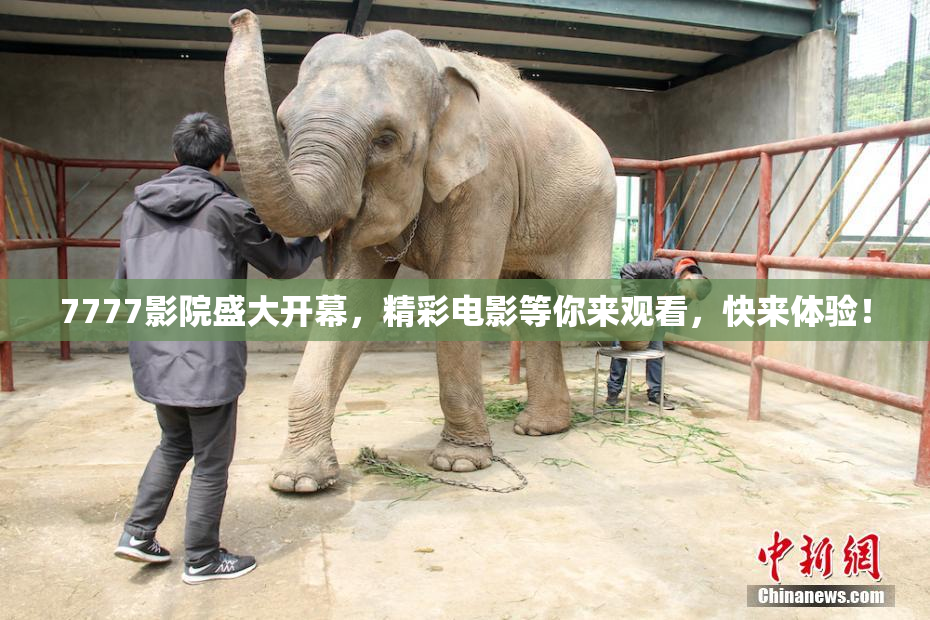 7777影院盛大开幕，精彩电影等你来观看，快来体验！