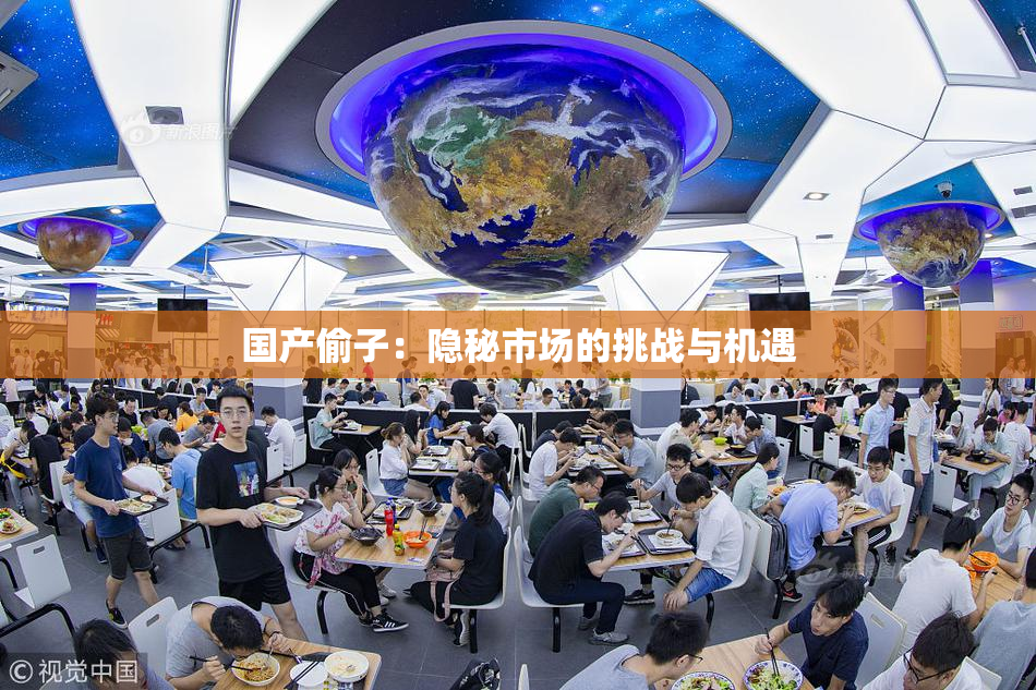 国产偷子：隐秘市场的挑战与机遇