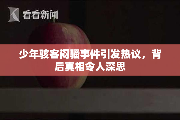 少年骇客闷骚事件引发热议，背后真相令人深思