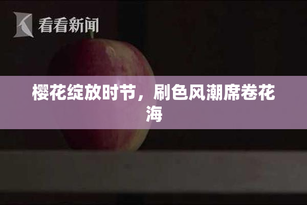 樱花绽放时节，刷色风潮席卷花海