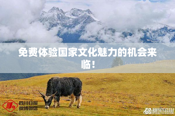 免费体验国家文化魅力的机会来临！