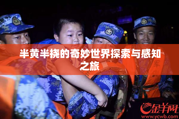 半黄半挠的奇妙世界探索与感知之旅