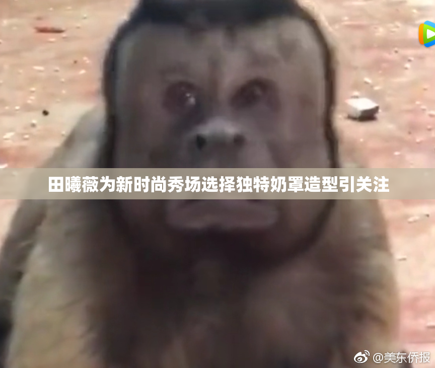 田曦薇为新时尚秀场选择独特奶罩造型引关注