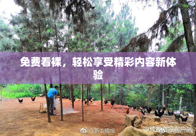 免费看裸，轻松享受精彩内容新体验