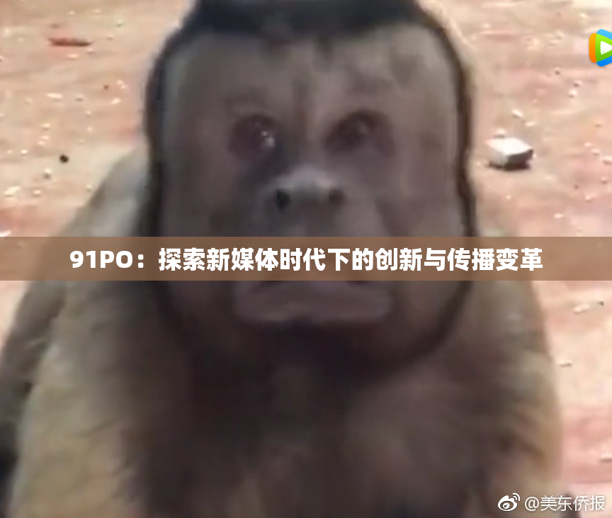 91PO：探索新媒体时代下的创新与传播变革
