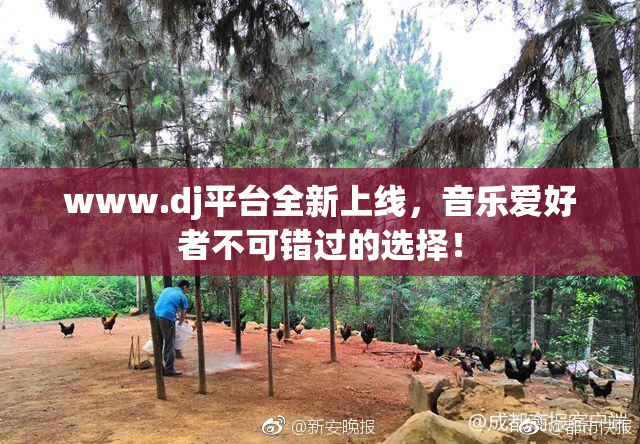 www.dj平台全新上线，音乐爱好者不可错过的选择！