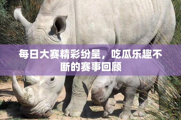 每日大赛精彩纷呈，吃瓜乐趣不断的赛事回顾