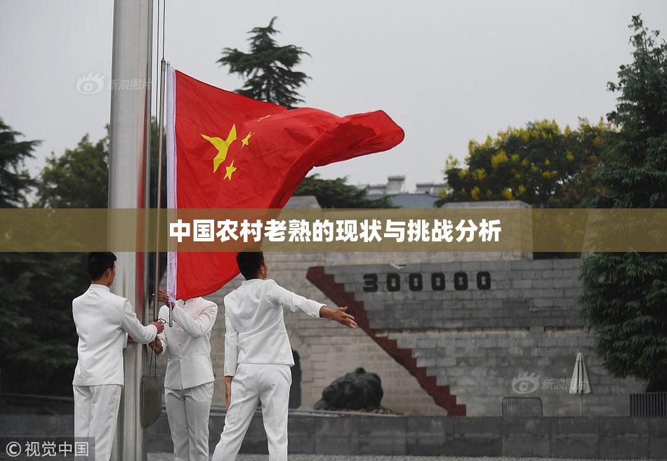 中国农村老熟的现状与挑战分析