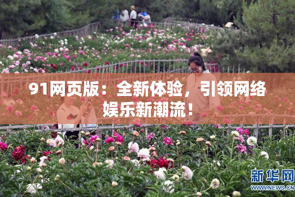 91网页版：全新体验，引领网络娱乐新潮流！